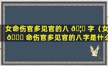 女命伤官多见官的八 🦁 字（女 🐈 命伤官多见官的八字是什么）